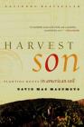 Harvest Son: Planting Roots in American Soil By David Mas Masumoto Cover Image