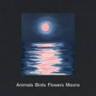 Ann Craven: Animals, Birds, Flowers, Moons By Ann Craven (Artist), Durga Chew-Bose (Text by (Art/Photo Books)), Keith Mayerson (Text by (Art/Photo Books)) Cover Image